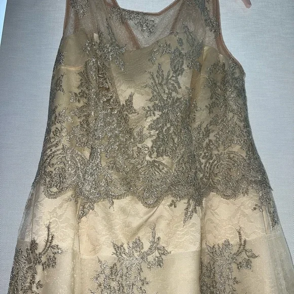 Kay Unger Champagne Lace Dress - Picture 2 of 5